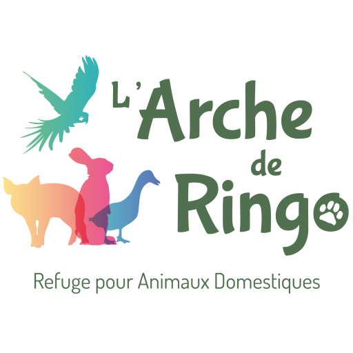 L'Arche de Ringo